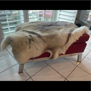 Minotti Big Fox Fur Throw